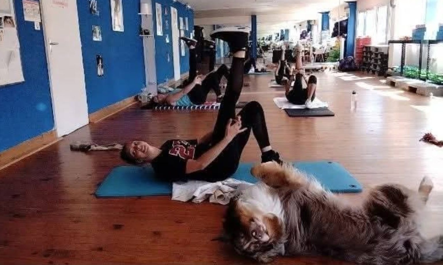 Cours de Pilates, de yoga de gym et de stretching chez Boulegan à Salernes