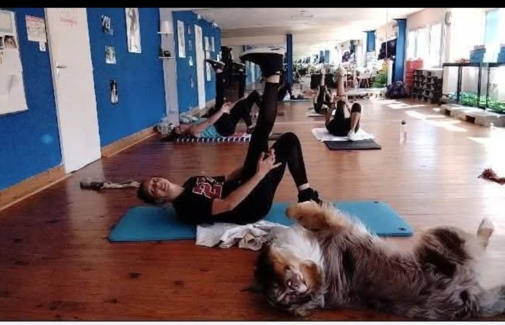 Cours collectif chez Boulegan Sport Club à Salernes
